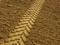 Images_trax